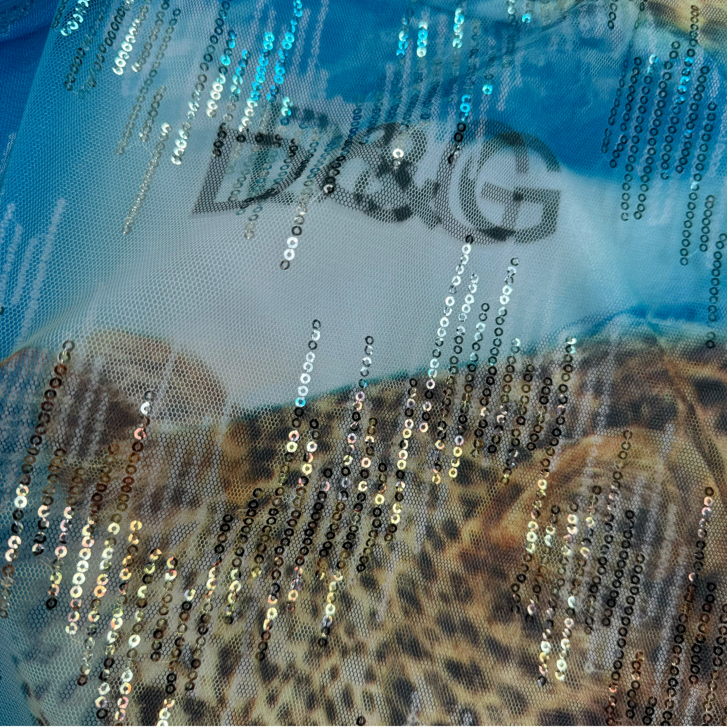 Dolce & Gabbana Leopard Top